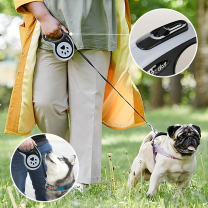 Laisse pour chien