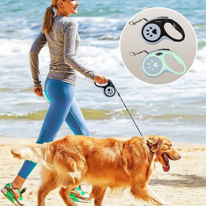 Laisse pour chien