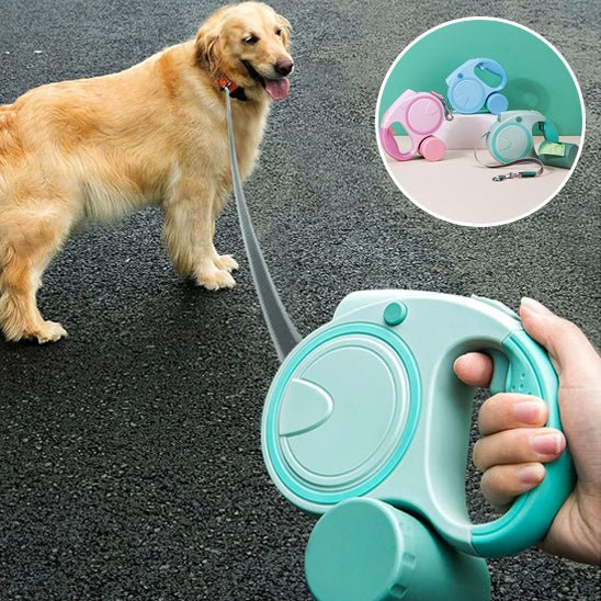 Laisse pour chien a controle de distance