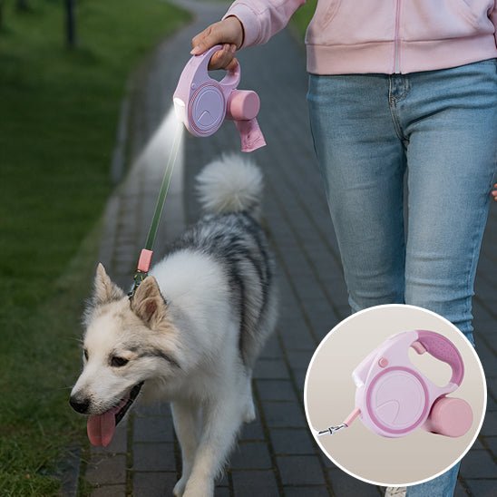 Laisse pour chien lumineux longueur ajustable