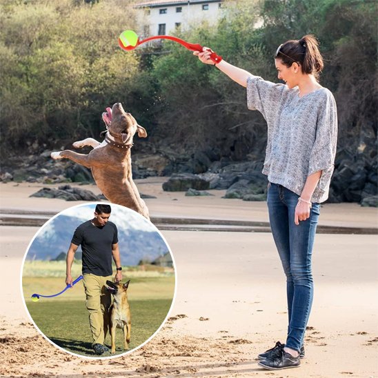 Lanceur de balle pour chien