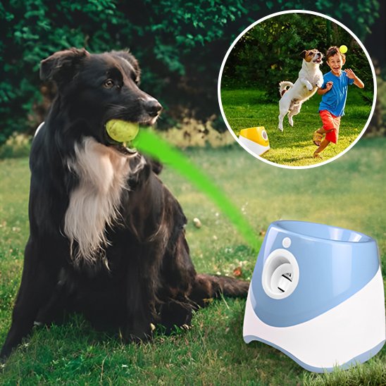 Lanceur de balle pour chien