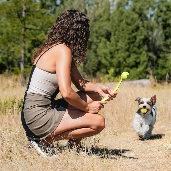 Lanceur de balle pour chien