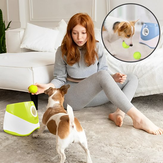 Lanceur de balle pour chien