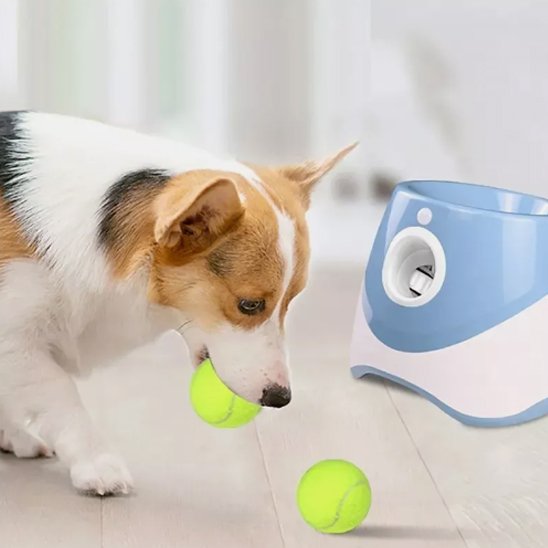 Lanceur de balle pour chien
