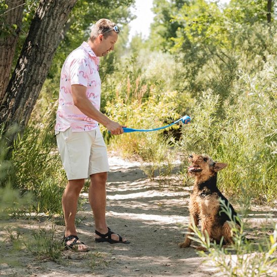 Lanceur de balle pour chien