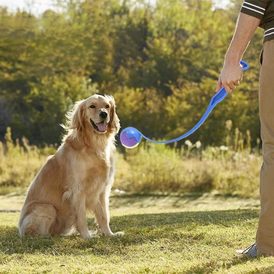 Lanceur de balle pour chien