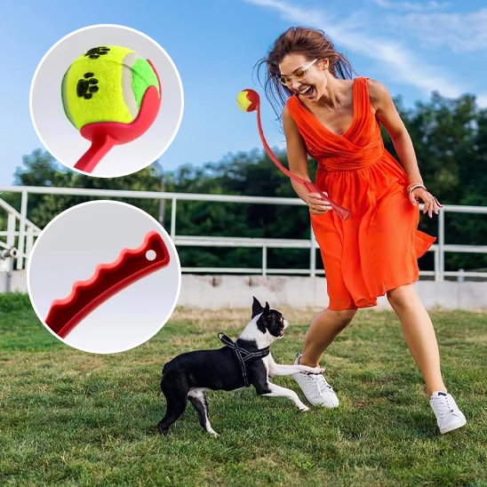 Lanceur de balle pour chien