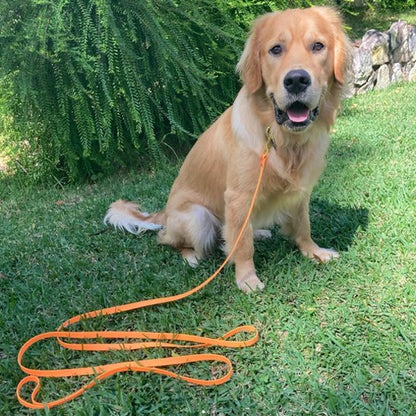 Longe pour chien 