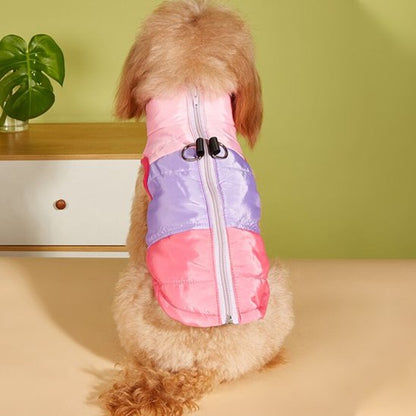 Manteau chien