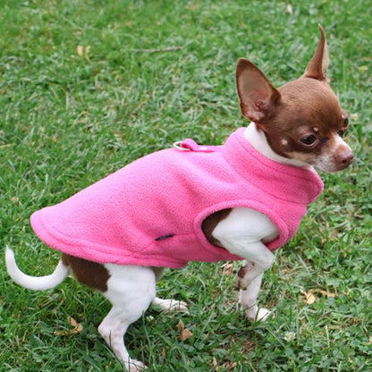 Manteau chien
