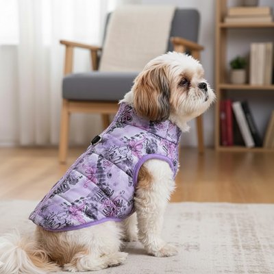 Manteau Chien