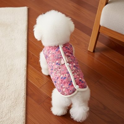 Manteau Chien 