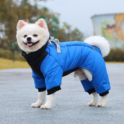 Manteau chien
