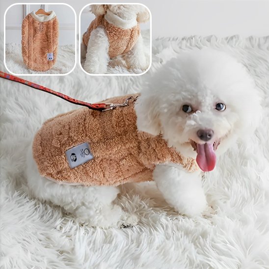Manteau chien