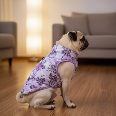 Manteau Chien