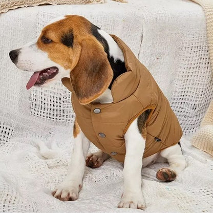 Manteau pour chien
