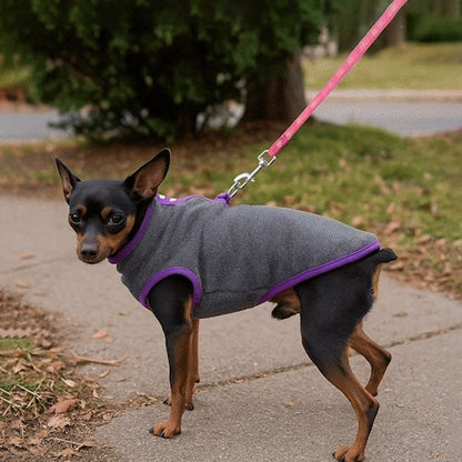 Manteau pour Chien