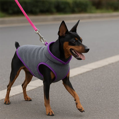 Manteau pour Chien