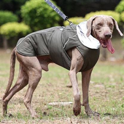 Manteau pour chien