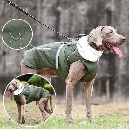 Manteau pour chien
