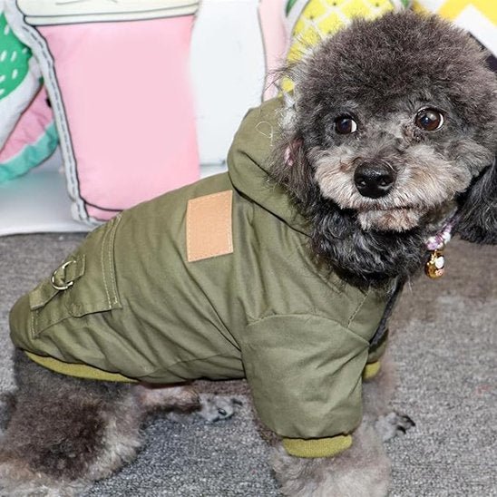 Manteau pour chien