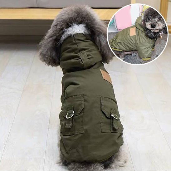 Manteau pour chien
