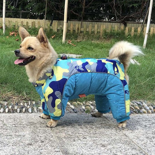 Manteau pour chien