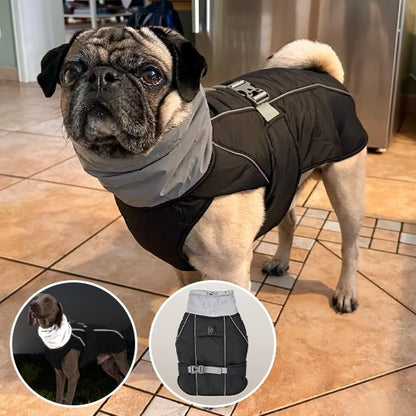 Manteau pour chien
