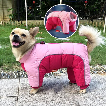 Manteau pour chien