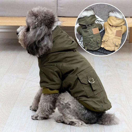 Manteau pour chien