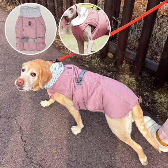 Manteau pour chien