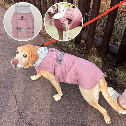 Manteau pour chien