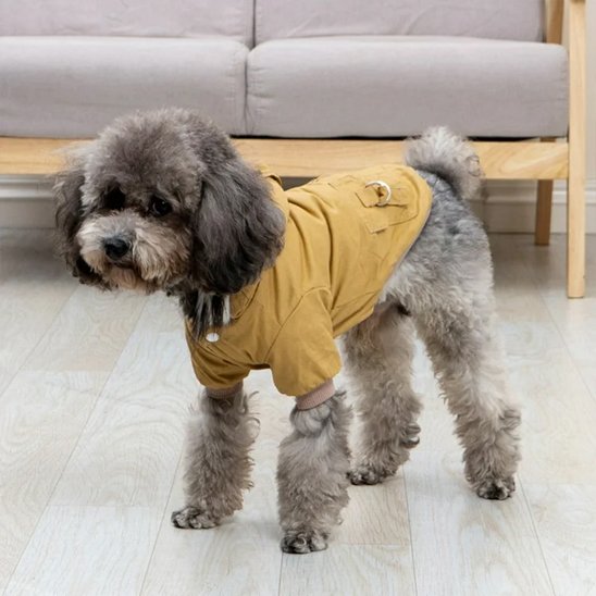 Manteau pour chien