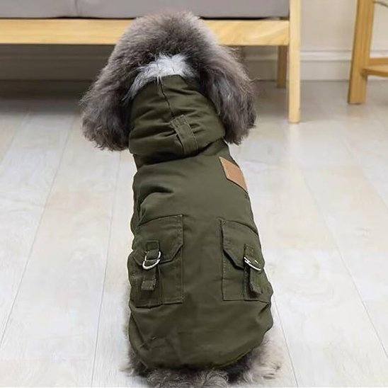 Manteau pour chien