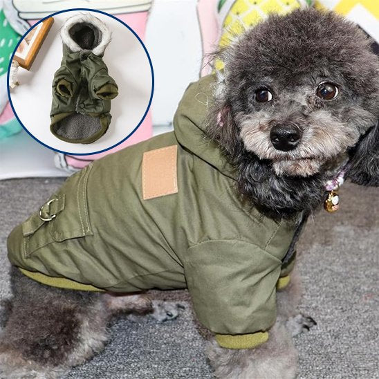 Manteau pour chien