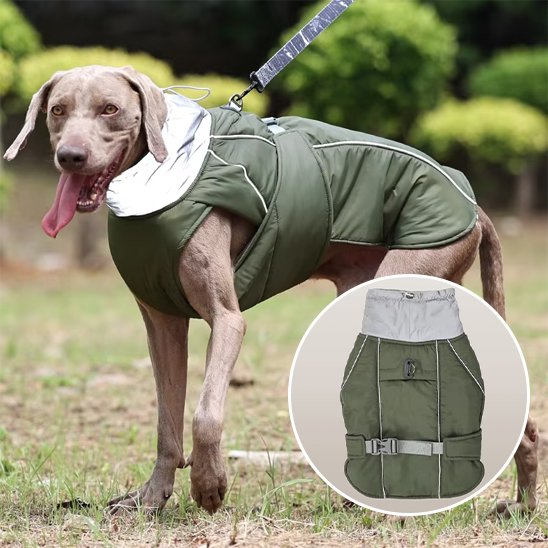 Manteau pour chien