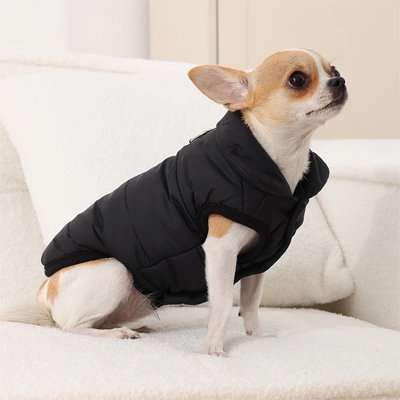 Manteau pour Chien 