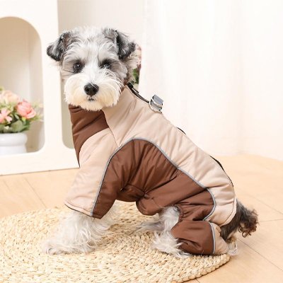 Manteau pour Chien 