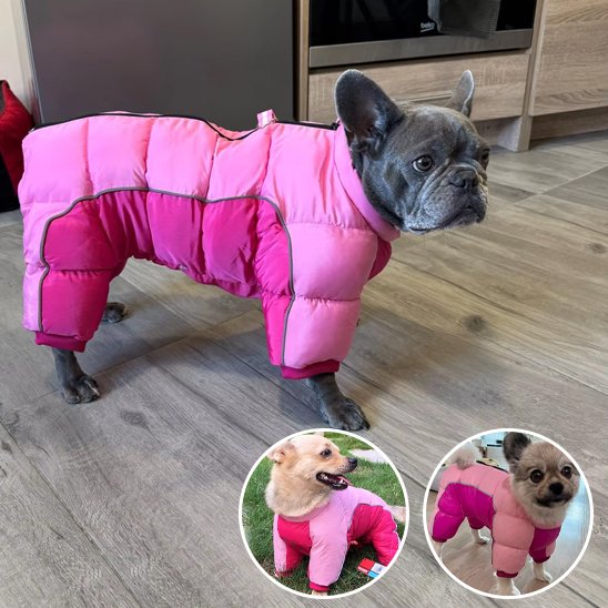 Manteau pour chien