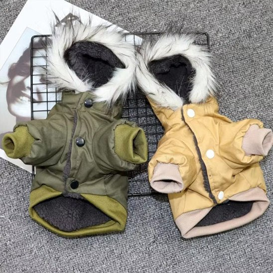 Manteau pour chien
