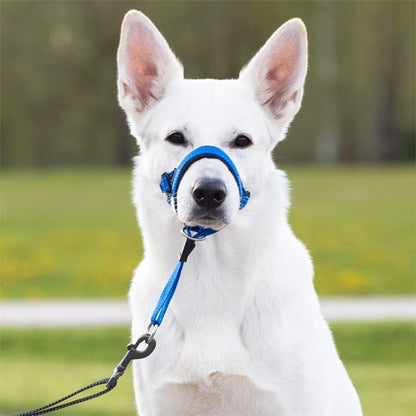 Muselière chien​