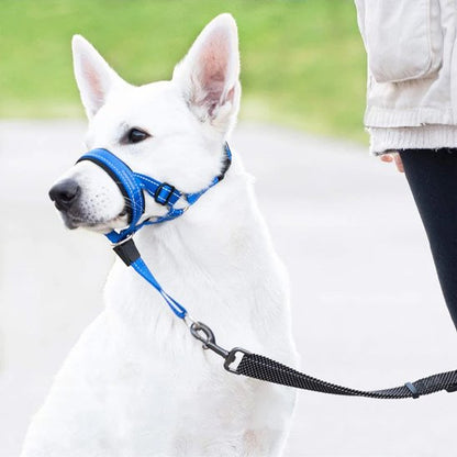 Muselière chien​
