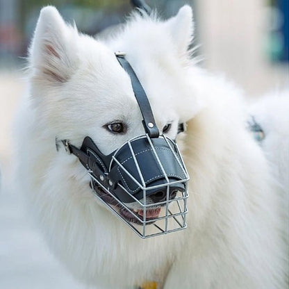 Muselière pour chien