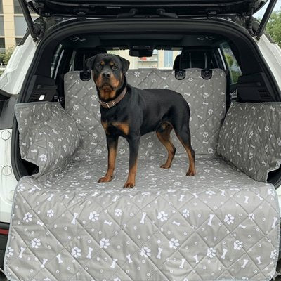 Protection chien voiture