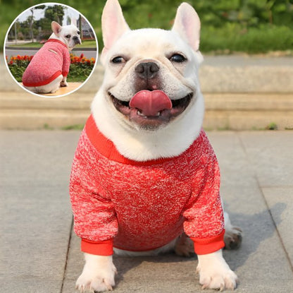 Pull chien
