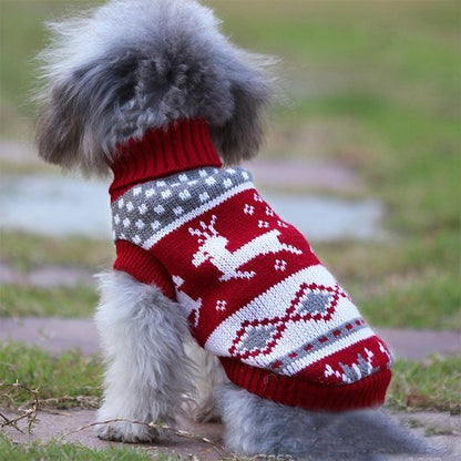 Pull pour chien