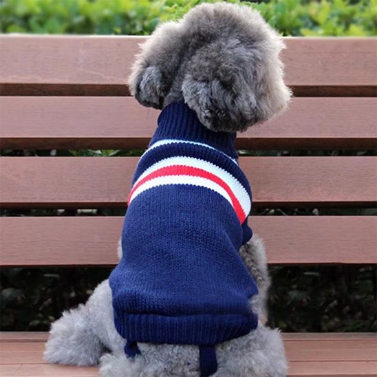 Pull pour chien