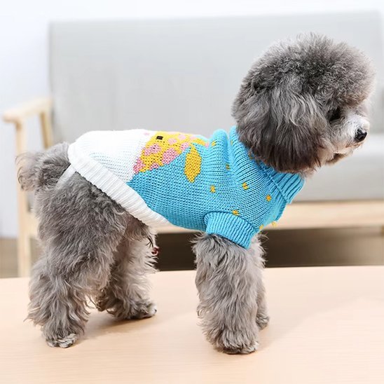 Pull pour chien