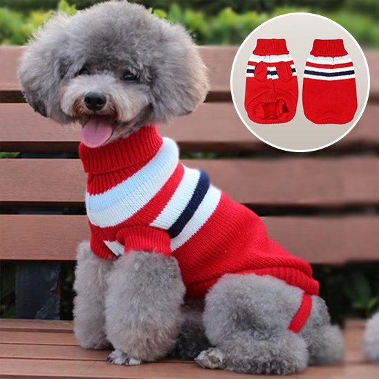 Pull pour chien